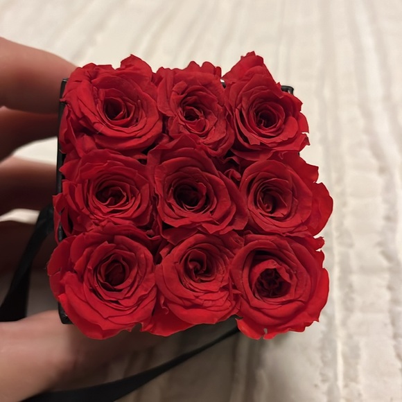 Mini Venus Et Fleur Preserved Roses - Picture 2 of 4